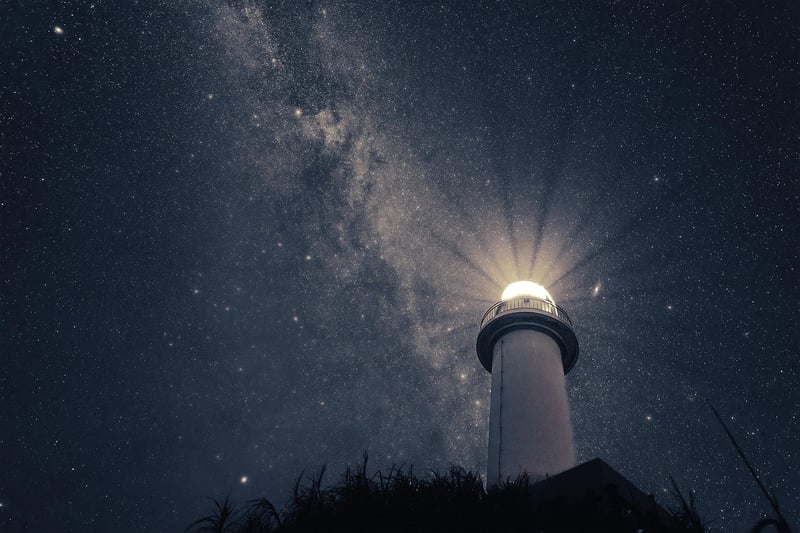 Nature at night
